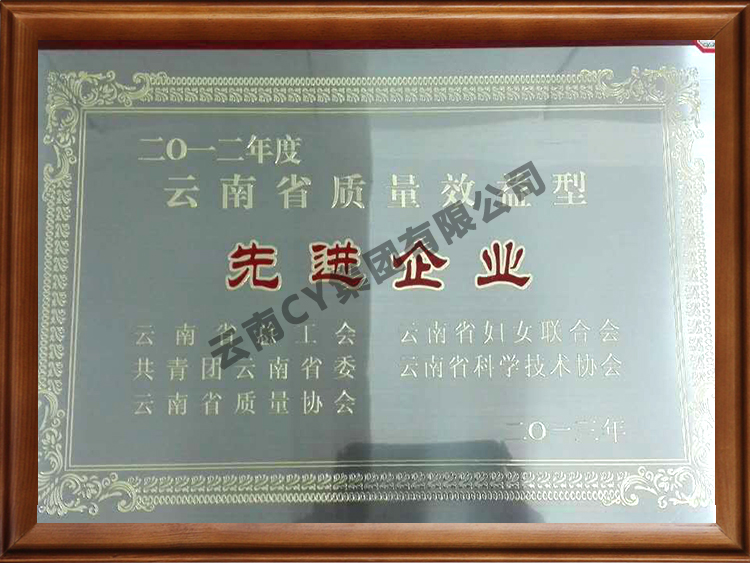 辽宁省质量效益型先进企业特别奖