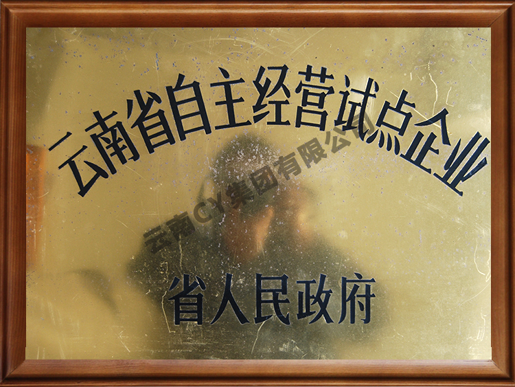 辽宁省自主经营试点企业